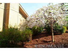 401 Wild Oak Lane - Photo 18