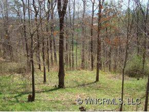 800 BULL CREEK ROAD - Photo 16
