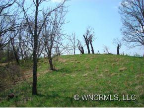 800 BULL CREEK ROAD - Photo 3