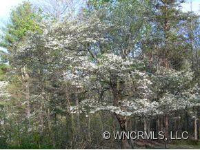 135 LUTHER BURBANK DRIVE - Photo 13