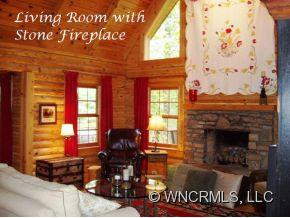 1437 BEARWALLOW MOUNTAIN RD - Photo 2