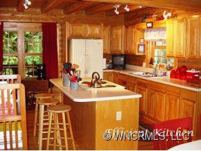 1437 BEARWALLOW MOUNTAIN RD - Photo 4
