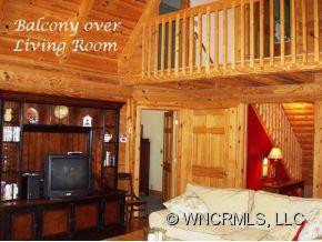 1437 BEARWALLOW MOUNTAIN RD - Photo 6
