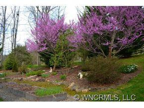 42 Cedar View Lane - Photo 4