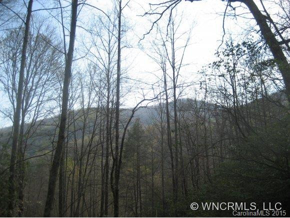 2708 Lower Flat Creek Rd. - Photo 14