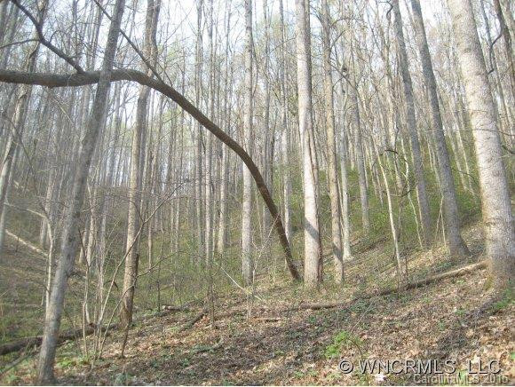 2708 Lower Flat Creek Rd. - Photo 16