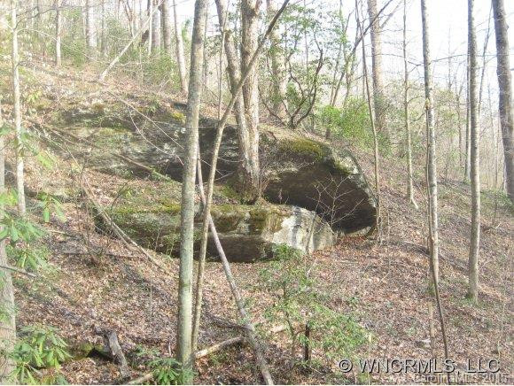 2708 Lower Flat Creek Rd. - Photo 18