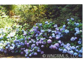 166 Surry Lane - Photo 11