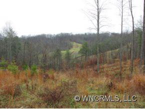 433 MADISON RIDGE ROAD - Photo 2