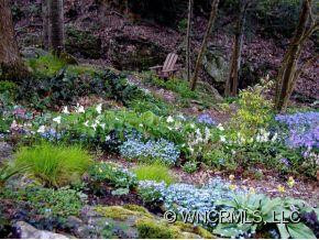 5288 EAST FORK ROAD - Photo 9