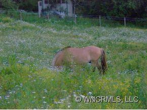 741 Old Marshall Highway - Photo 2