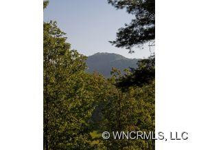 85 Frog Holler - Photo 3