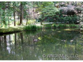 303 SpringLake Road - Photo 17