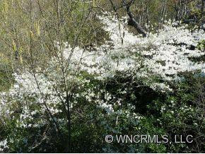 10 WILD IVY RUN - Photo 20