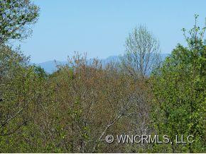 10 WILD IVY RUN - Photo 21