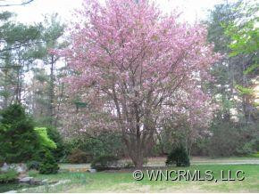 219 Ray Hill Road - Photo 11