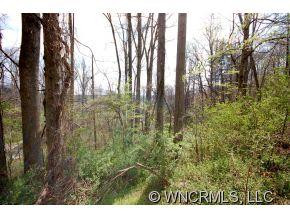 106 Caledonia - Photo 24