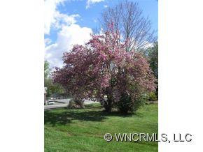 2252 Riceville Road - Photo 2