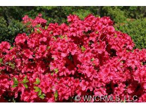  - Photo 23