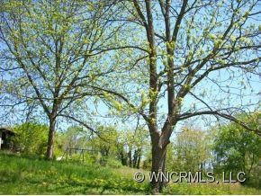 302 Virginia Avenue - Photo 15