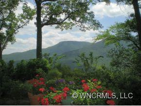161 Dug Hill Trail - Photo 2