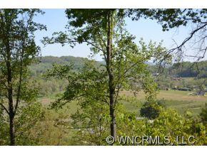 239 BEARWALLOW MOUNTAIN RD - Photo 18