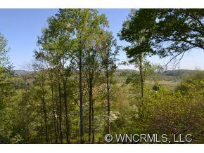 239 BEARWALLOW MOUNTAIN RD - Photo 19