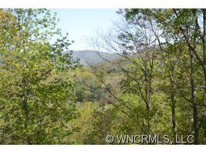 239 BEARWALLOW MOUNTAIN RD - Photo 20
