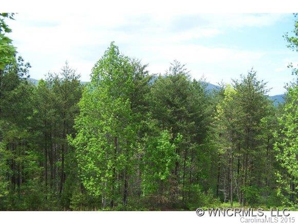4551 Lake Adger Parkway - Photo 14