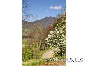 124 Woodhaven Ridge - Photo 3