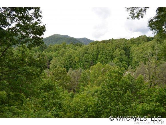 174 Pleasant Ridge Road - Photo 16