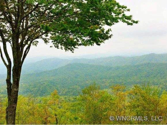 312 Panther Ridge