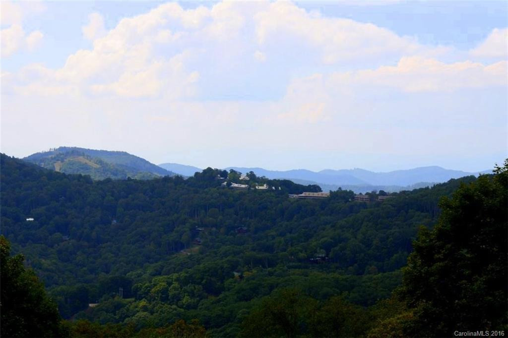610 Grouse Thicket Road #259+260 - Photo 2