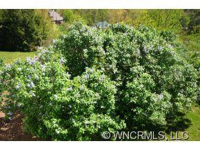 231 Erwin Hills Rd. - Photo 20