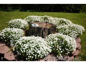 231 Erwin Hills Rd. - Photo 23