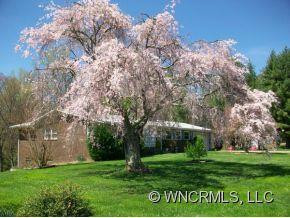 6 MONTE VISTA PLACE - Photo 3