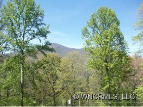 206 Forest - Photo 11