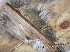  - Photo 3
