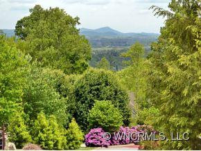 611 CARRIAGE COMMONS DRIVE - Photo 3