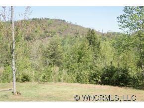 123 Bear Lane - Photo 2