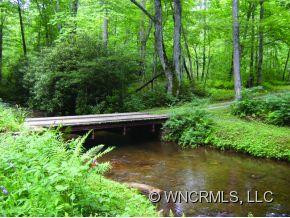 425 Cathey's Creek Road - Photo 2