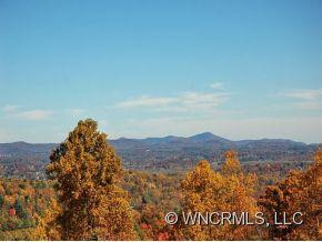 608 CARRIAGE COMMONS DR. - Photo 2