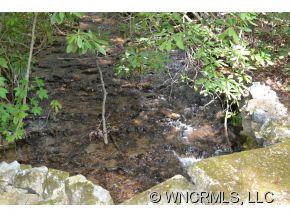28 Foliage Trail - Photo 14
