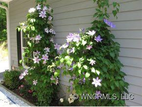 220 George Sutton Road - Photo 13