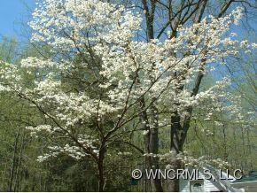 11 Garrison Road - Photo 23