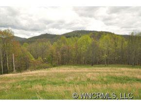 1168 Max Patch Road - Photo 15