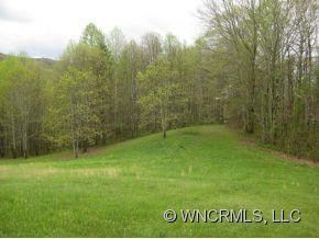 1168 Max Patch Road - Photo 17