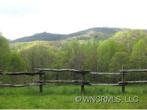 1168 Max Patch Road - Photo 18
