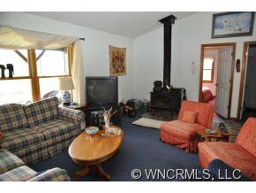1168 Max Patch Road - Photo 3