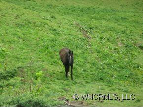 31 Standing Rock Trail - Photo 14
